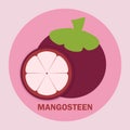 Flat cartoon magosteen vector png for icon logo and clipart in cute background fruits