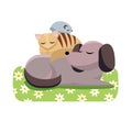 Flat cartoon vector illustration cat and chinchilla sleeps comfortably on dog. Sweet dreams of furry friends. Cute best friends