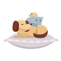 Flat cartoon vector illustration cat and hamster sleeps comfortably on dog. Sweet dreams of furry friends. Cute best friends Royalty Free Stock Photo