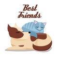 Flat cartoon vector illustration cat sleeps comfortably on dog. Sweet dreams of furry pets. Cute best friends sleeping brown dog Royalty Free Stock Photo