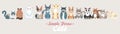 Flat cats family isolated vector set. Long banner cartoon illustration domestic cats Royalty Free Stock Photo