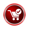 Flat checkout icon, Internet button on white background