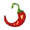 flat chili pepper design