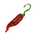 flat chili pepper illustration