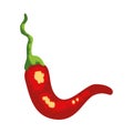 flat chili pepper