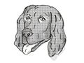 Flat-Coated Retriever Dog Breed Cartoon Retro Drawing