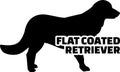 Flat Coated Retriever silhouette real word