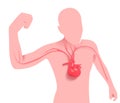 Flat color illustration of the silhouette of a person showing the anatomical heart.