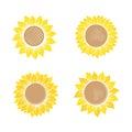 Flat color sunflowers silhouettes set