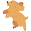 Flat colored adorable simple English Cocker Spaniel jumping in side view Royalty Free Stock Photo