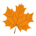 Flat colored autumn leaf icon Vector Royalty Free Stock Photo