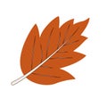 Flat colored autumn leaf icon Vector Royalty Free Stock Photo