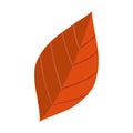 Flat colored autumn leaf icon Vector Royalty Free Stock Photo
