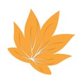 Flat colored autumn leaf icon Vector Royalty Free Stock Photo