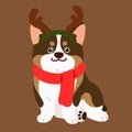 Flat colored cute sable colored Corgi sitting in front view Christmas style Royalty Free Stock Photo