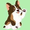 Flat colored cute sable colored Corgi sitting and waving hand