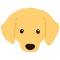 Flat colored golden Miniature Dachshund front head