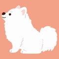 Flat colored simple and adorable Japanese Spitz sitting in side view illustration