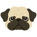 Flat colored simple and cute pug face