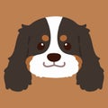 Flat colored Tricolor Cavalier King Charles Spaniel Head