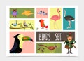 Flat Colorful Birds Collection