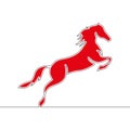 Flat colorful continuous line red horse concept