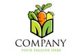 Colorful Healthy Fruit and Vegetable Logo Design