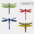 Flat colorful illustration of dragonfly collection. Vector botanical graphic set. Royalty Free Stock Photo