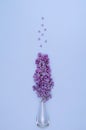 Flat composition of a bouquet of lilacs and flowers in a glass vase on a light blue background. Flat lay, vertical backgroundound Royalty Free Stock Photo