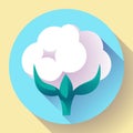 Flat Cotton icon vector