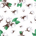 Flat Cotton icon . white nature cotton plant on white background Vector illustration Web site page and mobile app design
