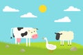 Flat Cow, goose and sheep standing on field. Vector illustration