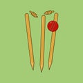 Flat Cricket Wicket Stumps Illustration Icon Vector Cricket game with Ball
