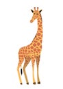 flat cute cartoon standing giraffe from side, vector isolated on white background, illustration for children Royalty Free Stock Photo