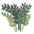 Flat design assorted green plants with leaves and seeds. Nature botanical graphic vector illustration