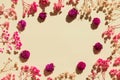 Flat design background with dried gypsophila flowers. Floral oval border Royalty Free Stock Photo