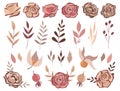 Big fall autumn bundle. Set of 27 vector elements. Roses, rosehip, leaves, physalis, branches. Vector elements isolated on white