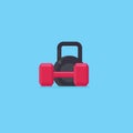 Flat design of black kettlebell and red dumbell Illustration. Healthy lifestyle concept. Fitness and gym object