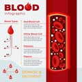 Flat design blood infographic Vector illustration