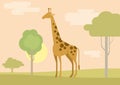 Flat design cartoon wild animals giraffe savanna Royalty Free Stock Photo