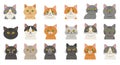 Flat Design Cats in Grid Arrangement. Generative AI Royalty Free Stock Photo
