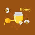 Flat design elements of Beekeeping and apiculture. Beekeeper Tools and equipment set.