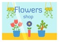 Flat design flowers shop facade icon store modern awning architecture window exterior and market front urban business Royalty Free Stock Photo