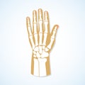 Flat design of hand and skeleton