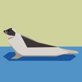 Flat design Harp seal Royalty Free Stock Photo