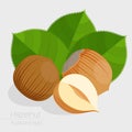 Hazelnut vector icon