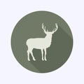 Flat Design icon,buck, vector