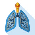 Flat design icon of human lungs Royalty Free Stock Photo