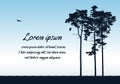 Flat design illustration of landscape with coniferous trees and grass. Forest with blue sky background and space for text ,banner