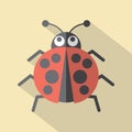 Flat Design Ladybug Icon